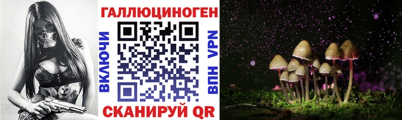 Псилоцибиновые грибы Psilocybe  Купить где  Михайловск 