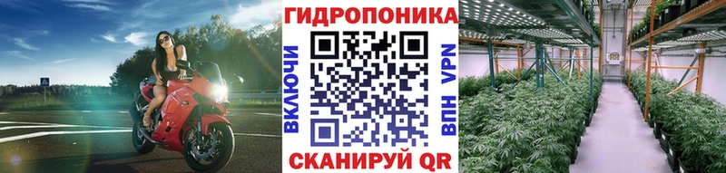 Марихуана OG Kush Купить где Михайловск